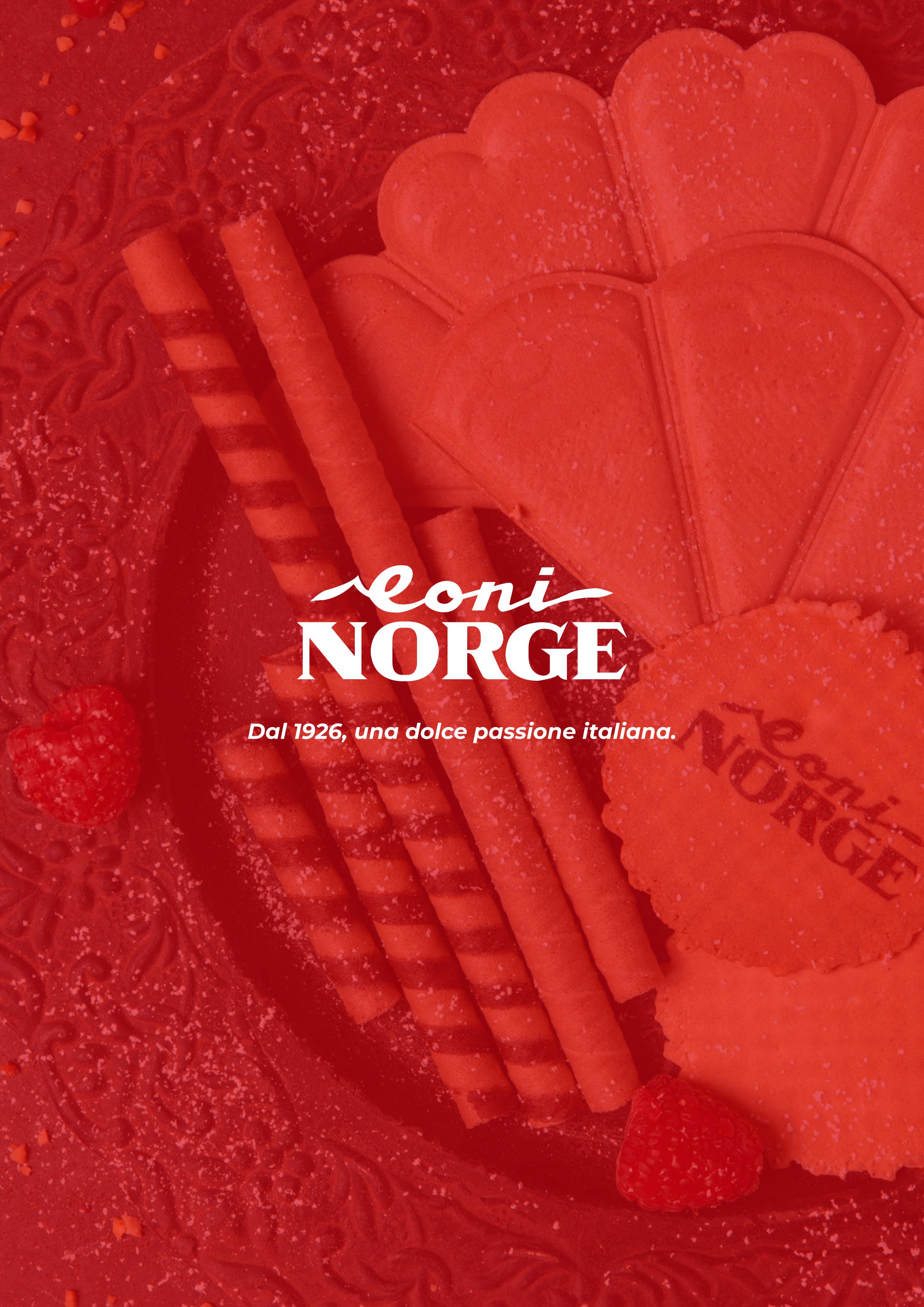Catalogo Italnorge